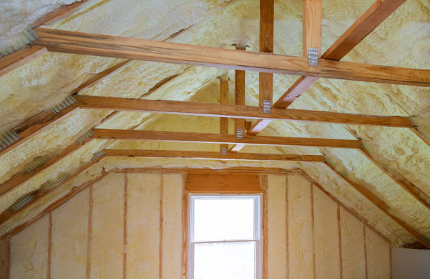 Best Insulation Installation Services in Frankton, IN